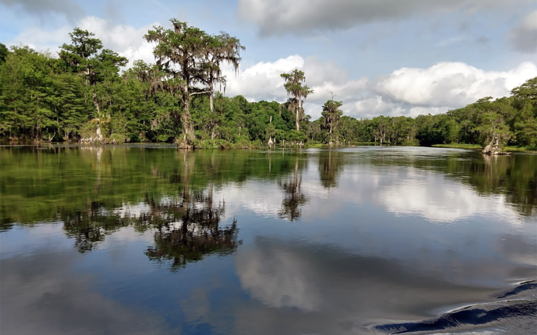 A Quiet Getaway at Wakulla Springs State Park