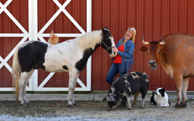 Funny Farm: It looks a Bit Like Noah’s Ark